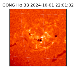 gong - 2024-10-01T22:01:02