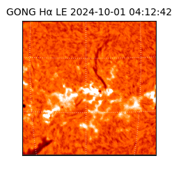 gong - 2024-10-01T04:12:42