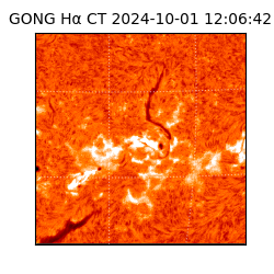 gong - 2024-10-01T12:06:42