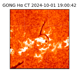 gong - 2024-10-01T19:00:42