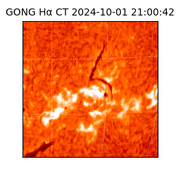 gong - 2024-10-01T21:00:42