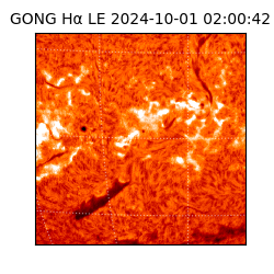 gong - 2024-10-01T02:00:42