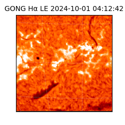 gong - 2024-10-01T04:12:42