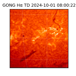 gong - 2024-10-01T08:00:22