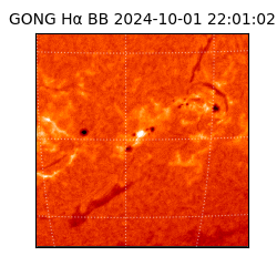 gong - 2024-10-01T22:01:02