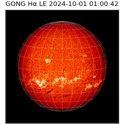 gong - 2024-10-01T01:00:42