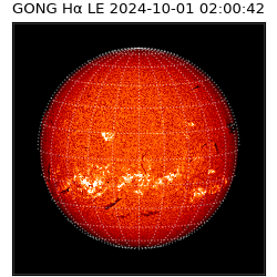 gong - 2024-10-01T02:00:42