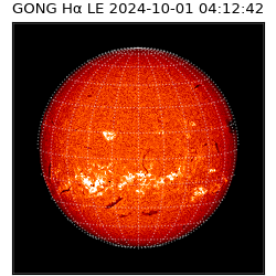 gong - 2024-10-01T04:12:42