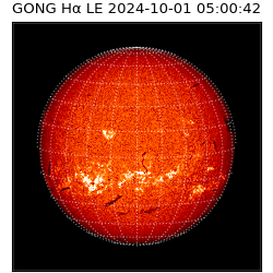 gong - 2024-10-01T05:00:42