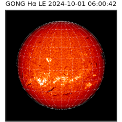 gong - 2024-10-01T06:00:42