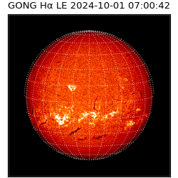 gong - 2024-10-01T07:00:42