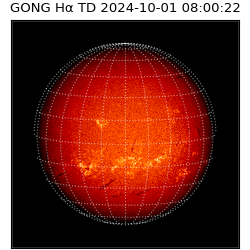 gong - 2024-10-01T08:00:22