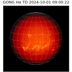 gong - 2024-10-01T09:00:22