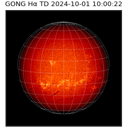 gong - 2024-10-01T10:00:22