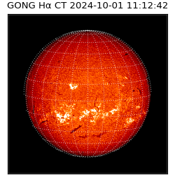 gong - 2024-10-01T11:12:42