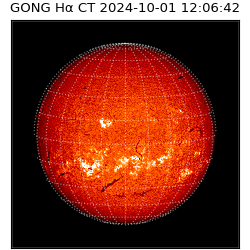 gong - 2024-10-01T12:06:42