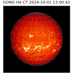 gong - 2024-10-01T13:00:42