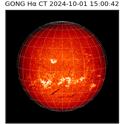 gong - 2024-10-01T15:00:42