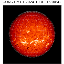 gong - 2024-10-01T16:00:42