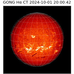 gong - 2024-10-01T20:00:42