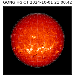 gong - 2024-10-01T21:00:42