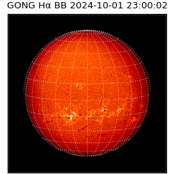 gong - 2024-10-01T23:00:02