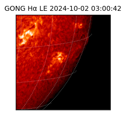 gong - 2024-10-02T03:00:42