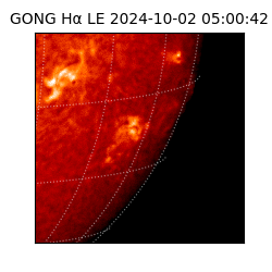 gong - 2024-10-02T05:00:42