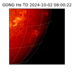 gong - 2024-10-02T08:00:22