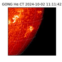 gong - 2024-10-02T11:11:42