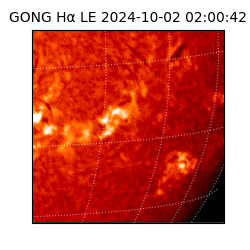 gong - 2024-10-02T02:00:42