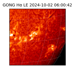 gong - 2024-10-02T06:00:42