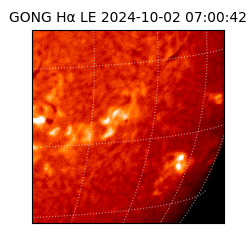 gong - 2024-10-02T07:00:42