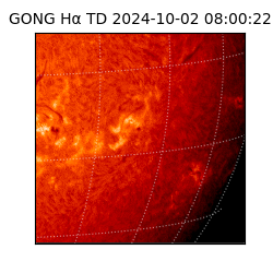 gong - 2024-10-02T08:00:22