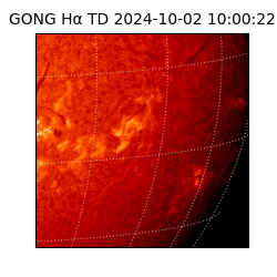 gong - 2024-10-02T10:00:22