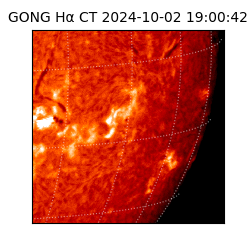 gong - 2024-10-02T19:00:42