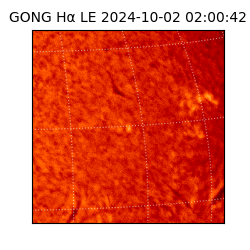 gong - 2024-10-02T02:00:42