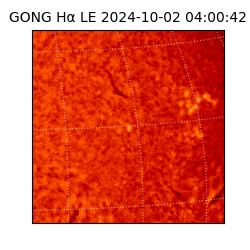 gong - 2024-10-02T04:00:42