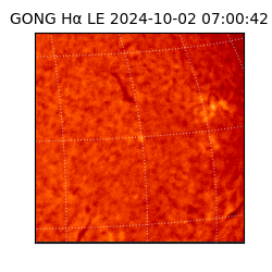 gong - 2024-10-02T07:00:42