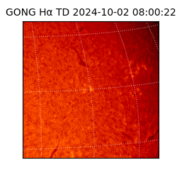 gong - 2024-10-02T08:00:22