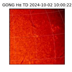 gong - 2024-10-02T10:00:22