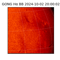 gong - 2024-10-02T20:00:02