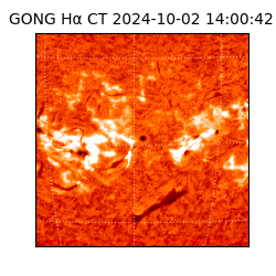 gong - 2024-10-02T14:00:42