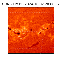 gong - 2024-10-02T20:00:02