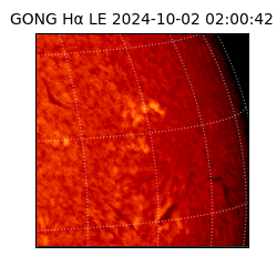 gong - 2024-10-02T02:00:42