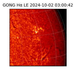 gong - 2024-10-02T03:00:42