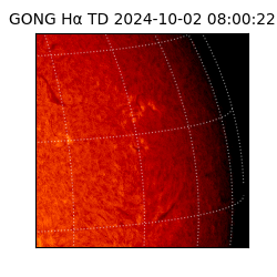 gong - 2024-10-02T08:00:22