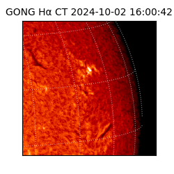 gong - 2024-10-02T16:00:42