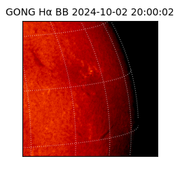 gong - 2024-10-02T20:00:02