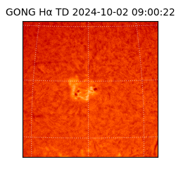 gong - 2024-10-02T09:00:22